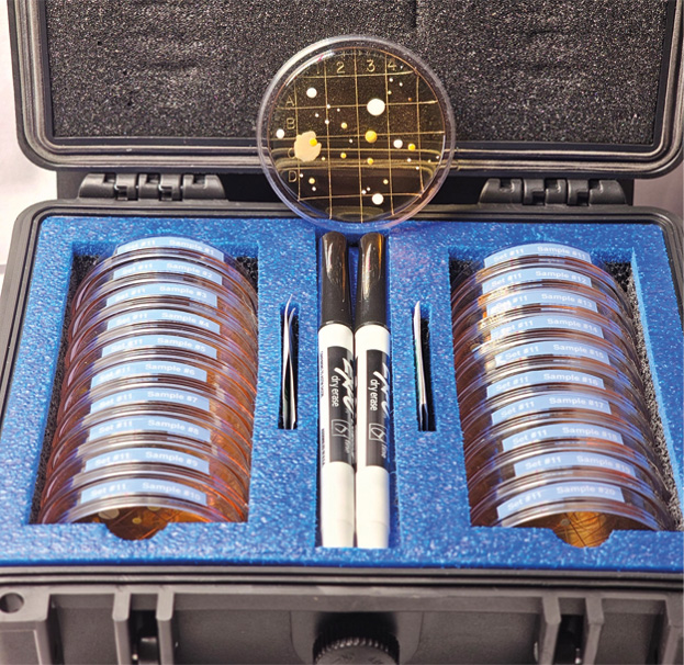 Colony Enumeration
Proficiency Assessment